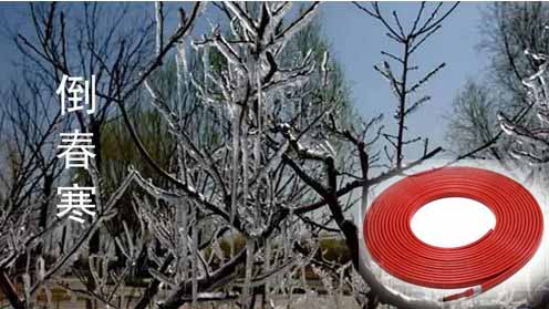 電伴熱帶應(yīng)對倒春寒 電伴熱帶應(yīng)對倒春寒
