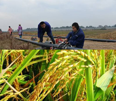 灌溉防凍電伴熱 灌溉防凍電伴熱