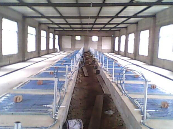 安邦集團發熱電纜用于養殖場保溫室采暖安裝示意圖(圖1) 安邦集團發熱電纜用于養殖場保溫室采暖安裝示意圖(圖1)